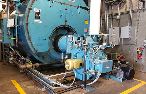 Buddig Plant cover